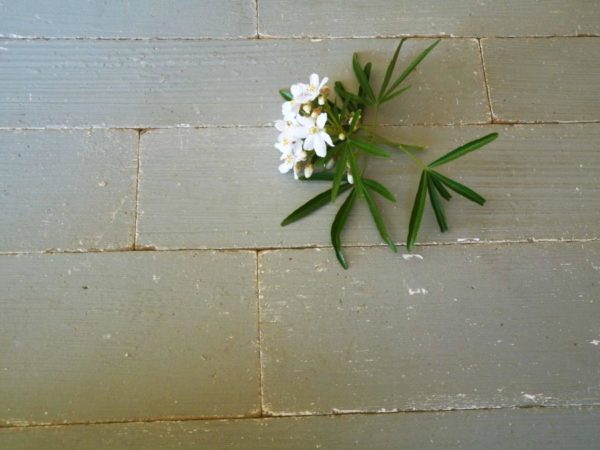 grey collection of new wood flooring