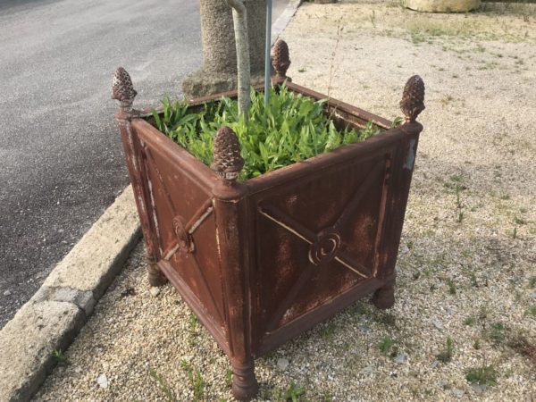 iron orange rust tree planter