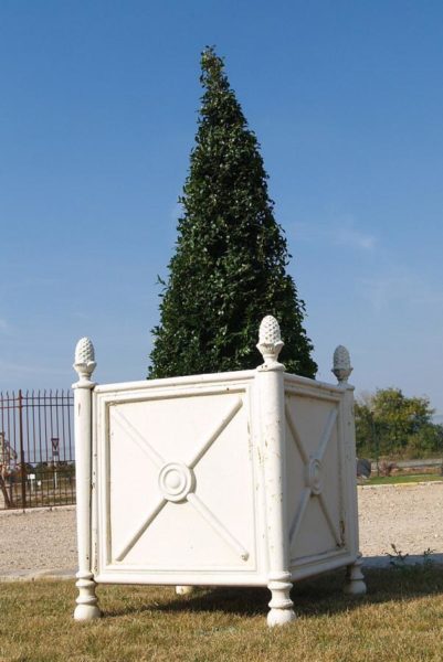 iron white tree planter