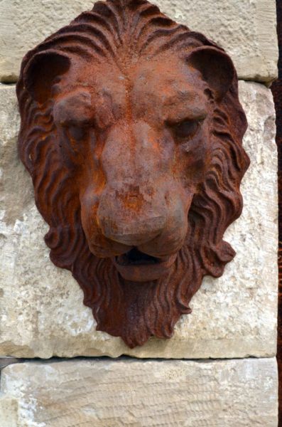 face of the cast iron lion head