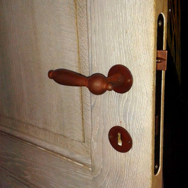 interior oak door with frame and casing