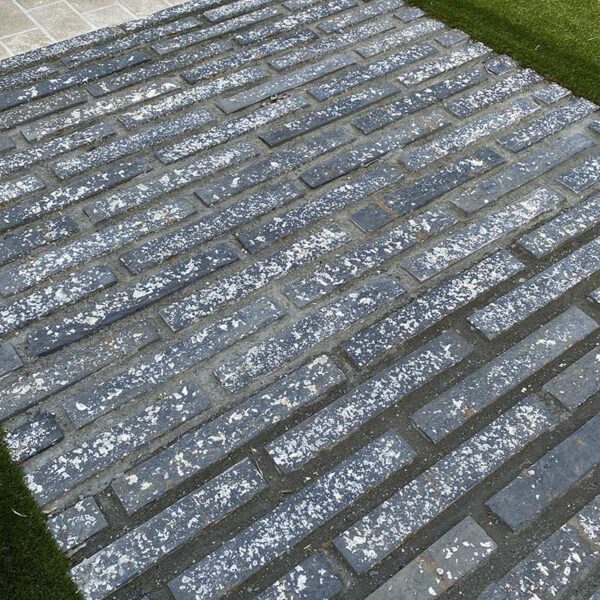 Model slate shale oyster culture paving