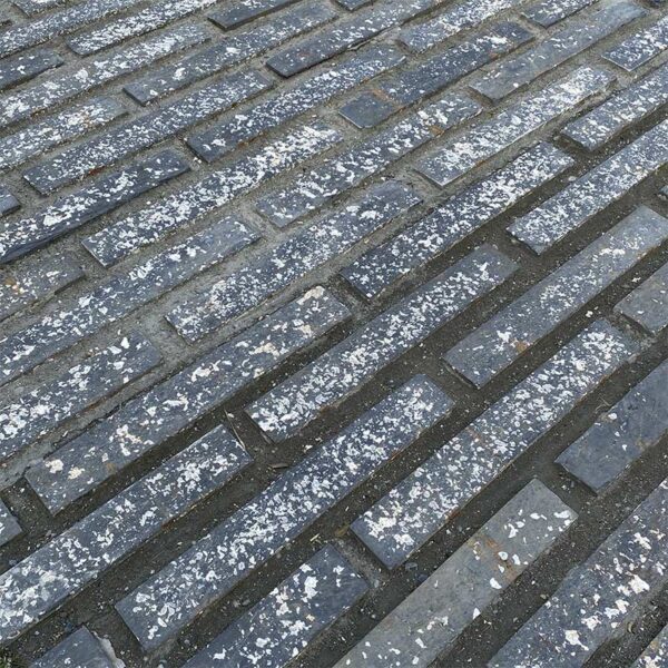 Slate shale oyster culture paving