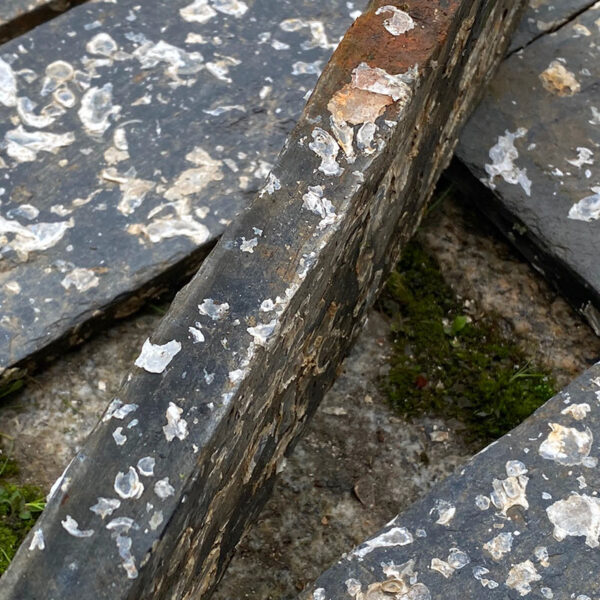 Thickness of french slate oyster bed