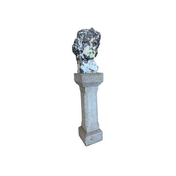 Antique head of MOZART on column