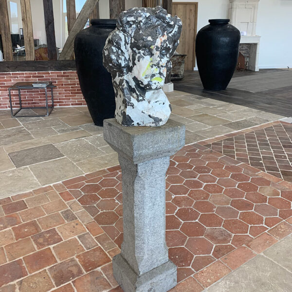 Antique head on column