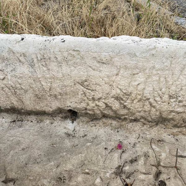 Inside feed trough