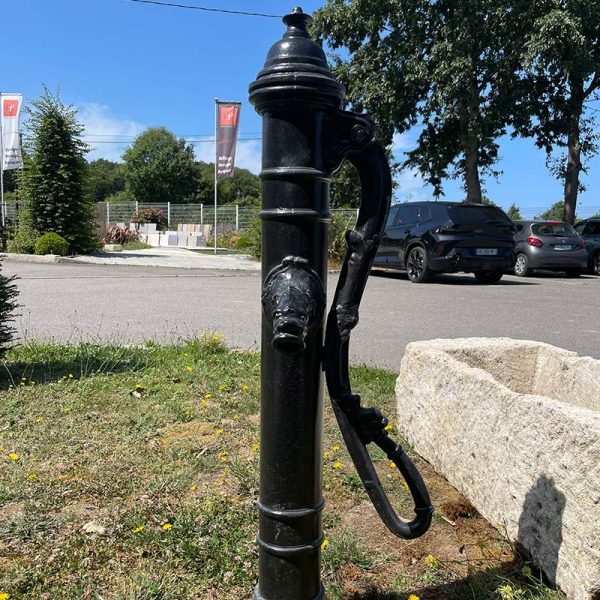 Old painted iron hand pump outside