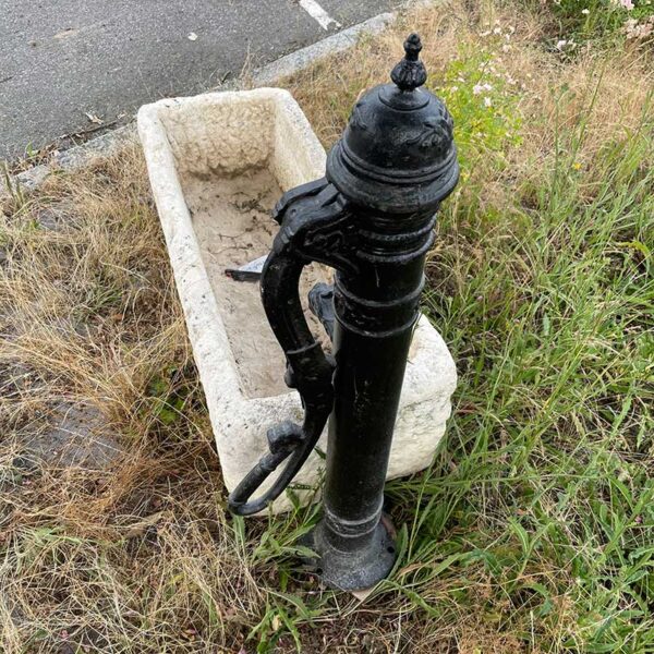 Detailed cast iron water pump, ready for restoration