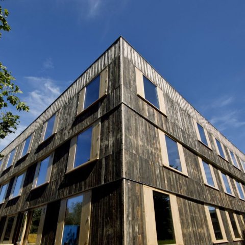 Raw oak wood board cladding