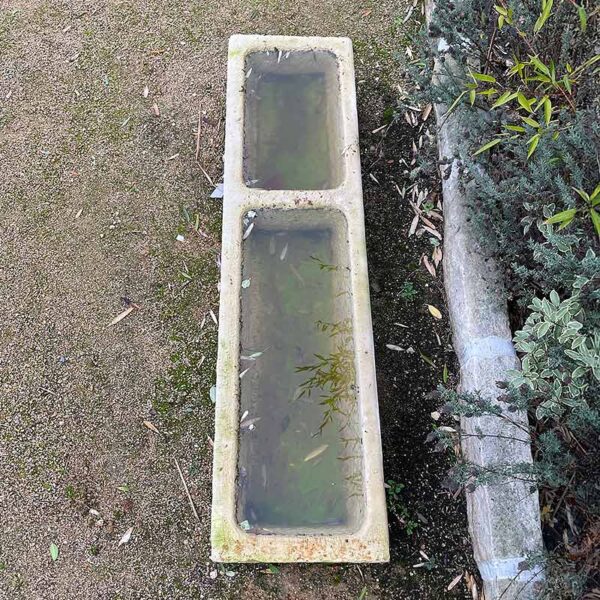 reclaimed trough with two basins